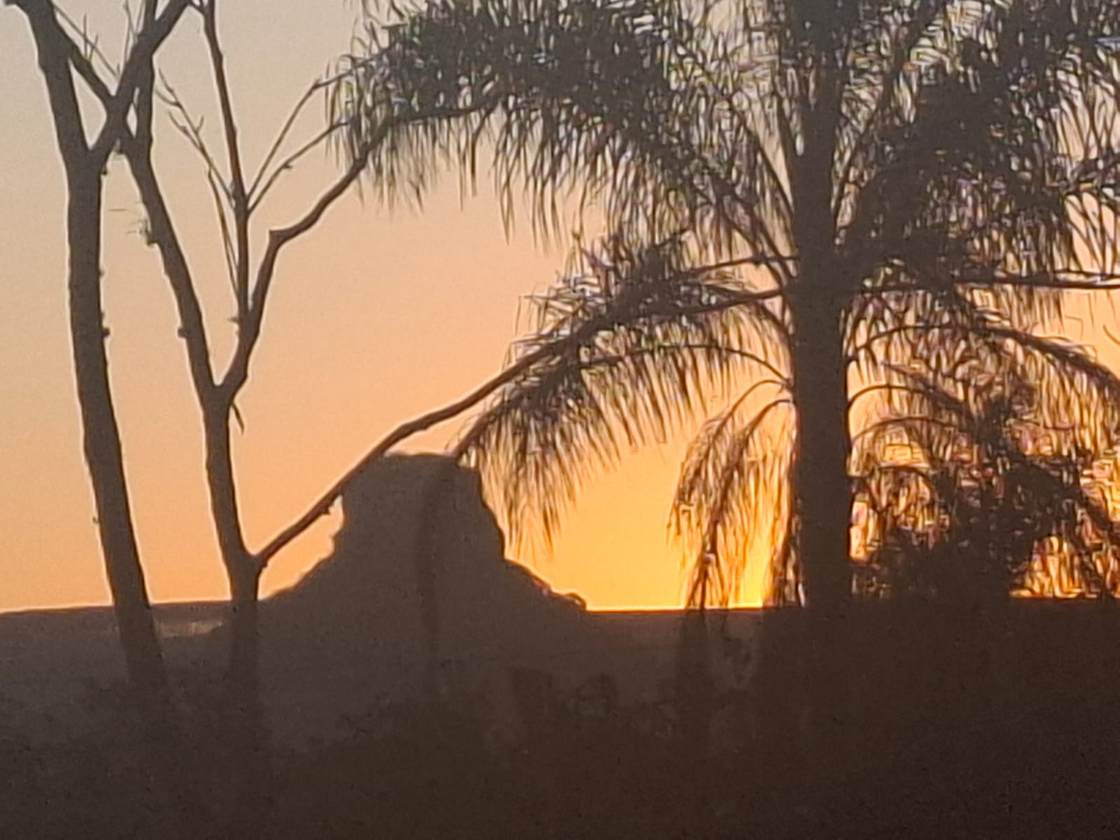 O Agronegócio, o Turismo e o Futuro de Analândia