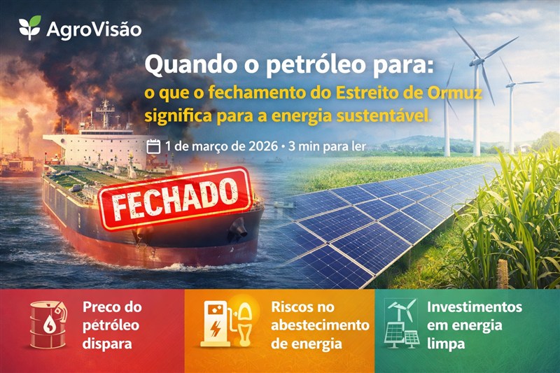 Quando o petróleo para: o que o fechamento do Estreito de Ormuz significa para a energia sustentável